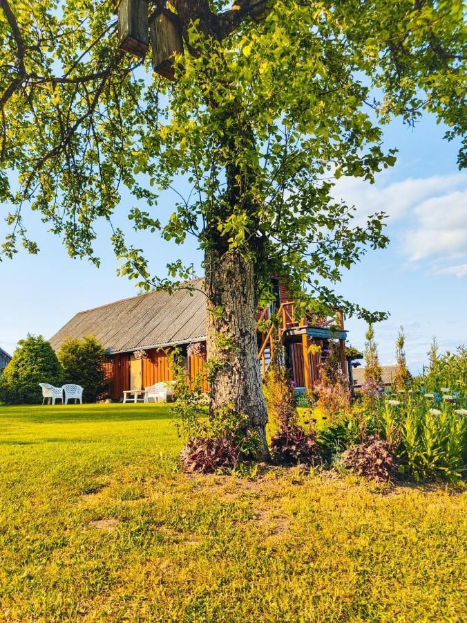Villa Zalioji Paduyelis Esterno foto