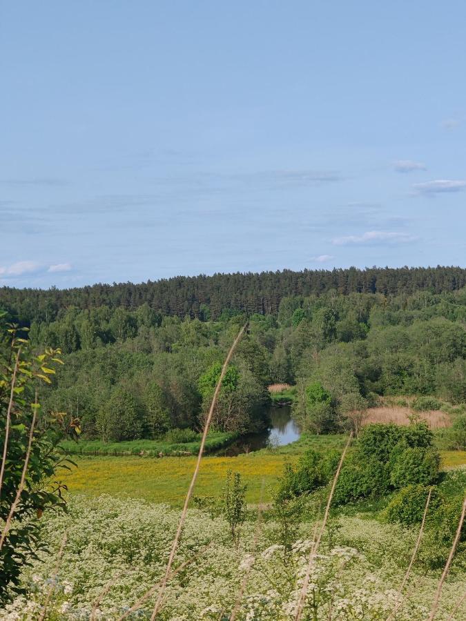 Villa Zalioji Paduyelis Esterno foto