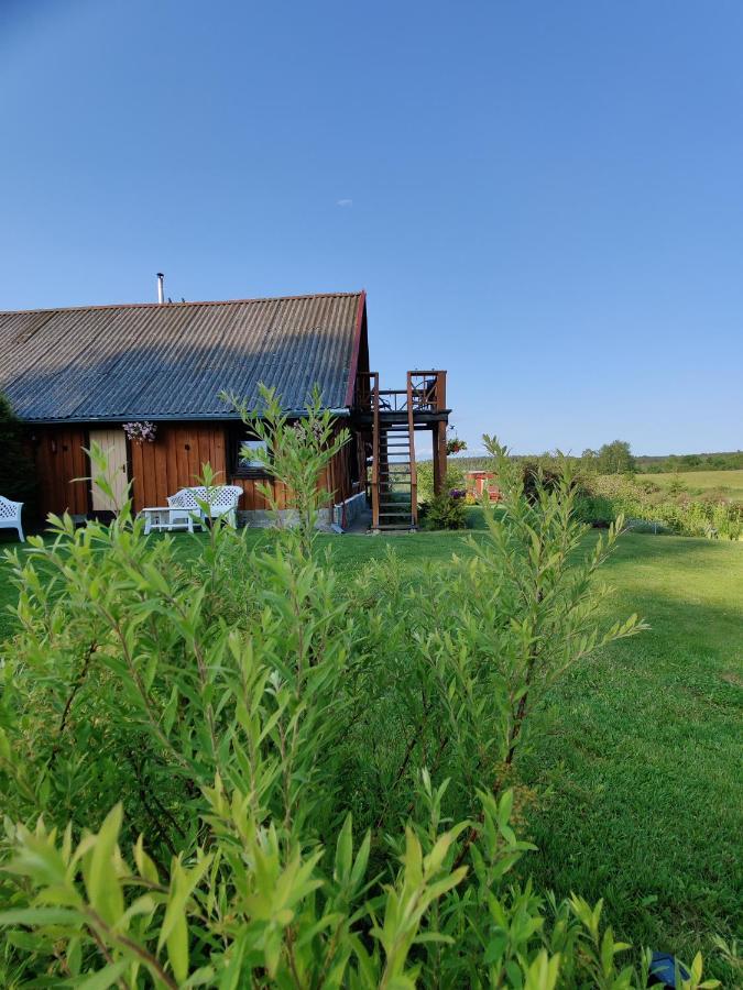 Villa Zalioji Paduyelis Esterno foto