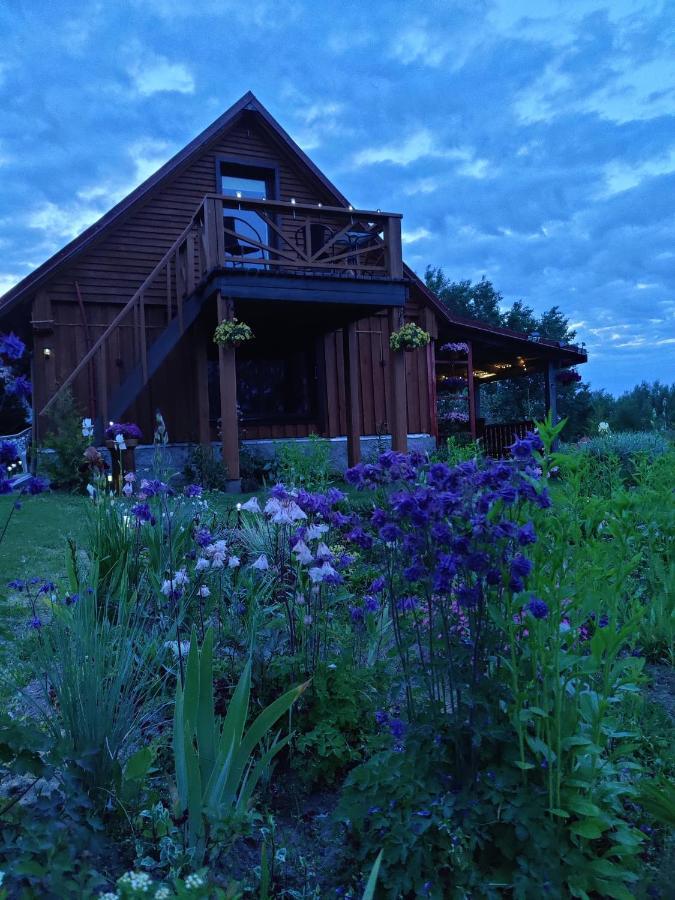 Villa Zalioji Paduyelis Esterno foto