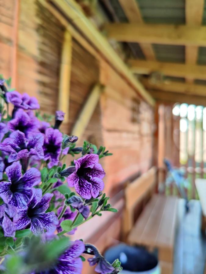 Villa Zalioji Paduyelis Esterno foto