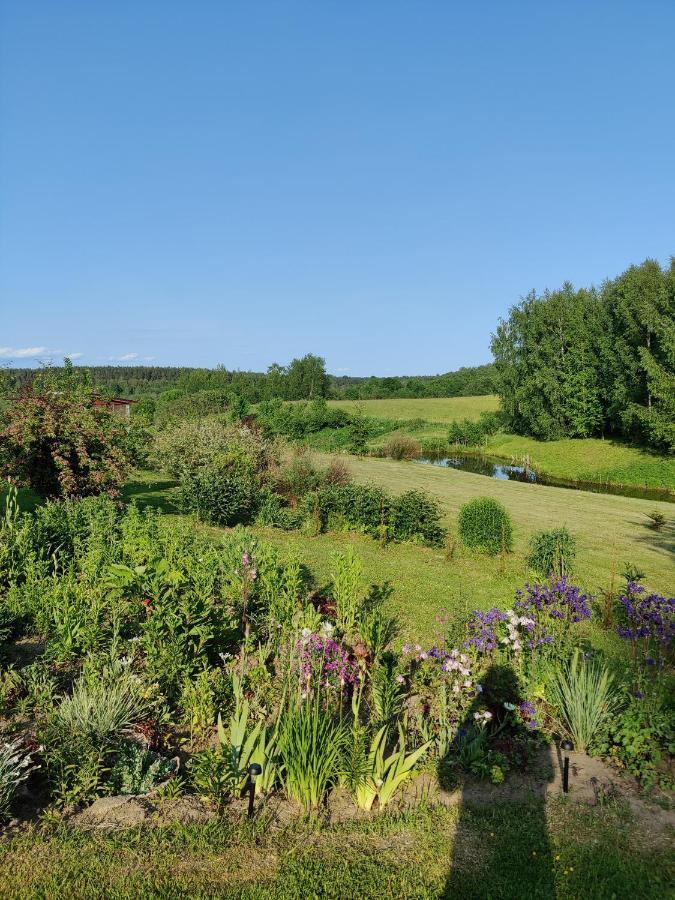 Villa Zalioji Paduyelis Esterno foto