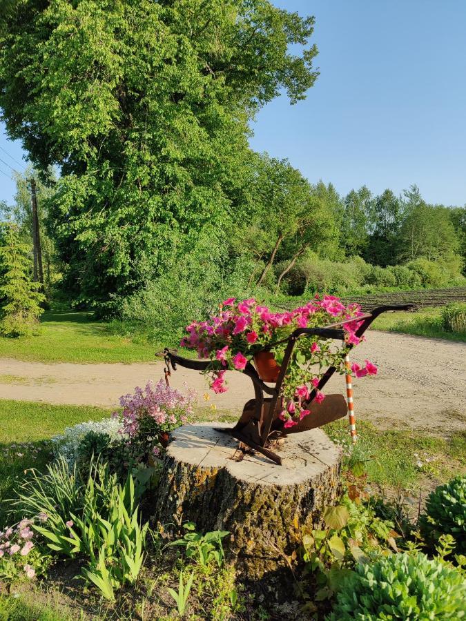 Villa Zalioji Paduyelis Esterno foto