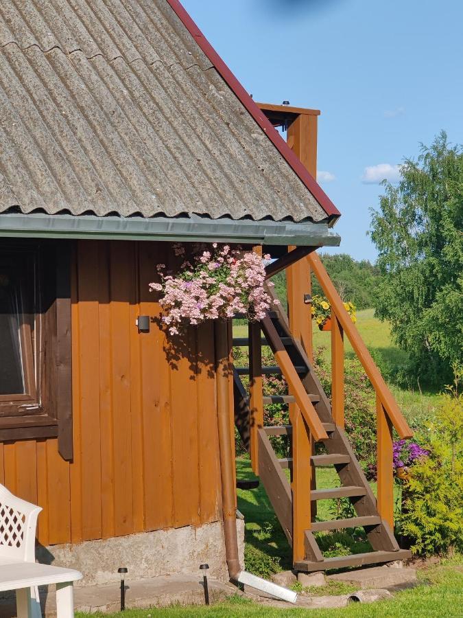 Villa Zalioji Paduyelis Esterno foto