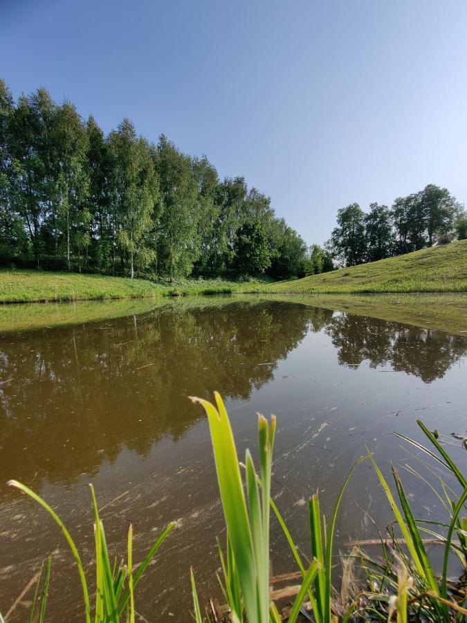 Villa Zalioji Paduyelis Esterno foto