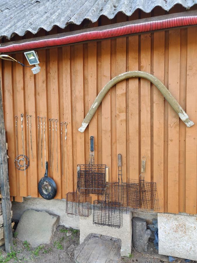 Villa Zalioji Paduyelis Esterno foto