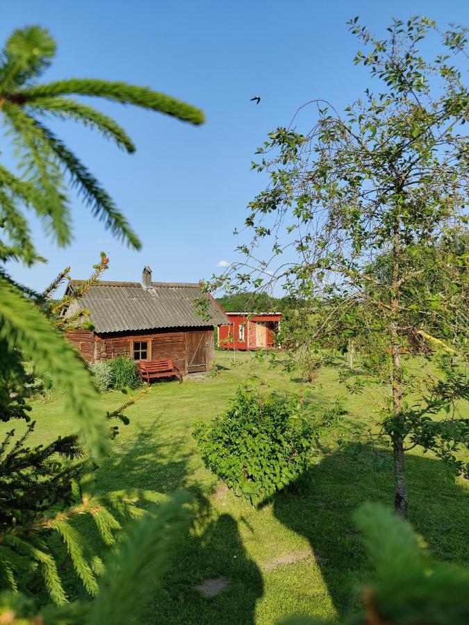 Villa Zalioji Paduyelis Esterno foto