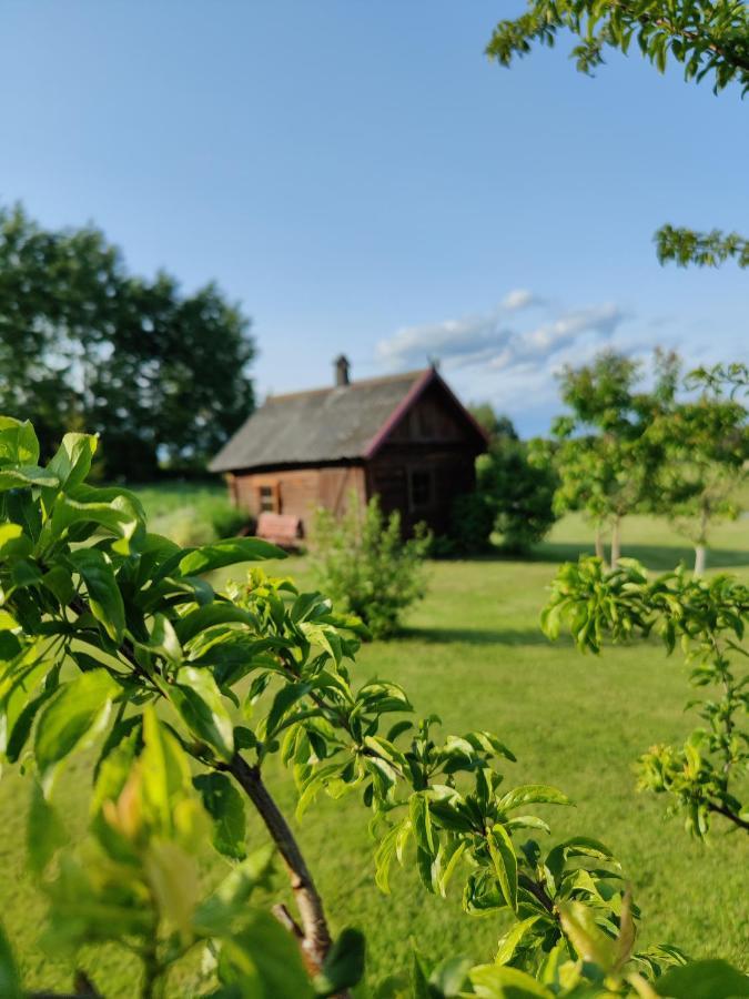 Villa Zalioji Paduyelis Esterno foto