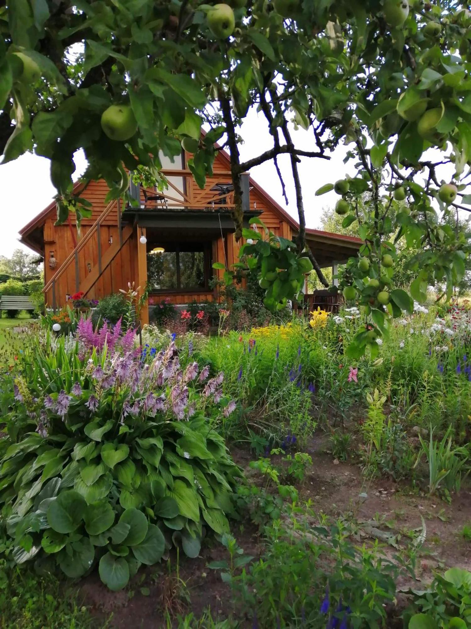 Villa Zalioji Paduyelis Camera foto